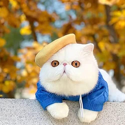 Kedi Şapka Pet Kedi Şapka Bere Yün Kap Düz Renk Pet Dekor Kedi Aksesuarları Pet Şapkalar Fotoğraf Sahne Pet Noel