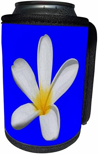 3dRose İzole Edilmiş Tek Bir Plumeria Çiçeği-Şişe Sargısını Soğutabilir (cc_356568_1)