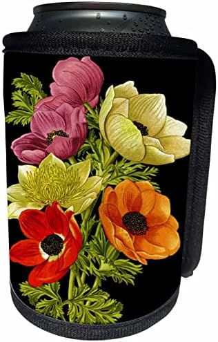 3dRose Anemon Rüzgar Çiçeği Botanik Sanat Vektör-Can Soğutucu Şişe Sarma (cc_356925_1)