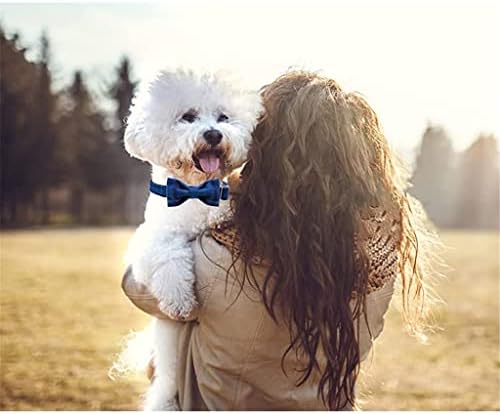 Naylon ile HFDGDFK Kahverengi Ekose Yün Yaka-Büyük Orta Küçük Köpek için Sıcak ve Yumuşak Yaylar köpek tasması (Renk: